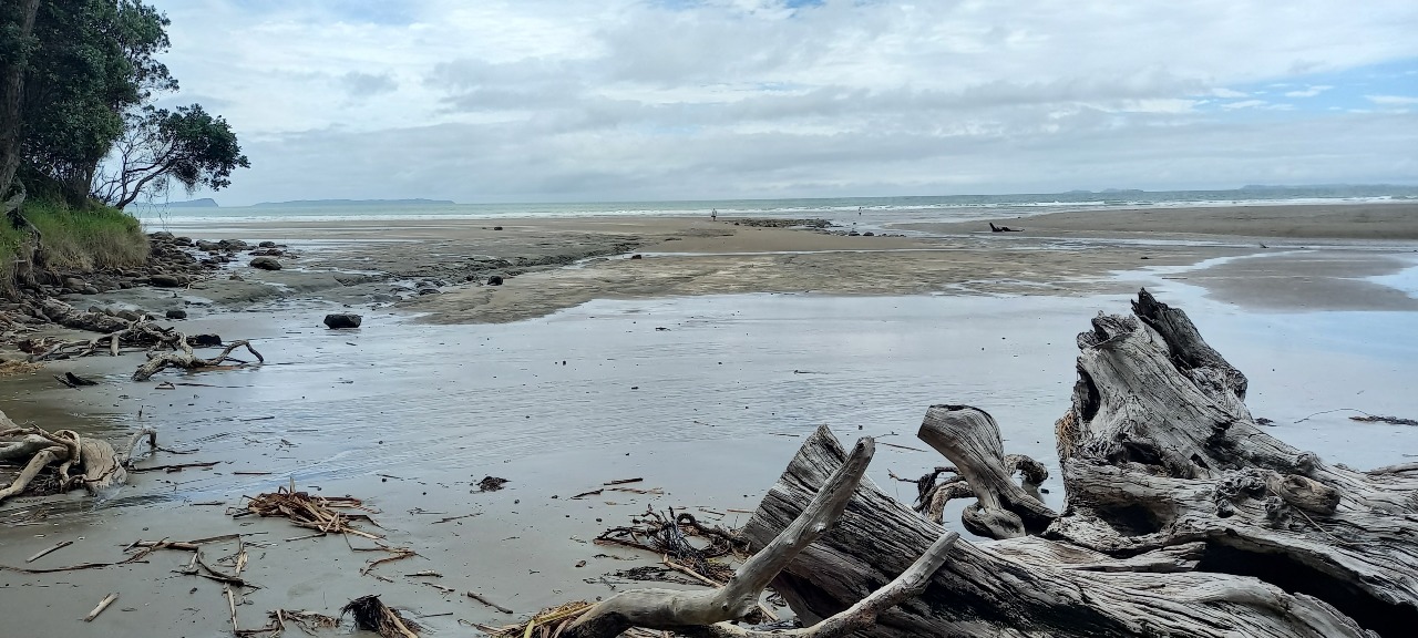 A special place where the sea and land meet creating an ideal location for human settlement

