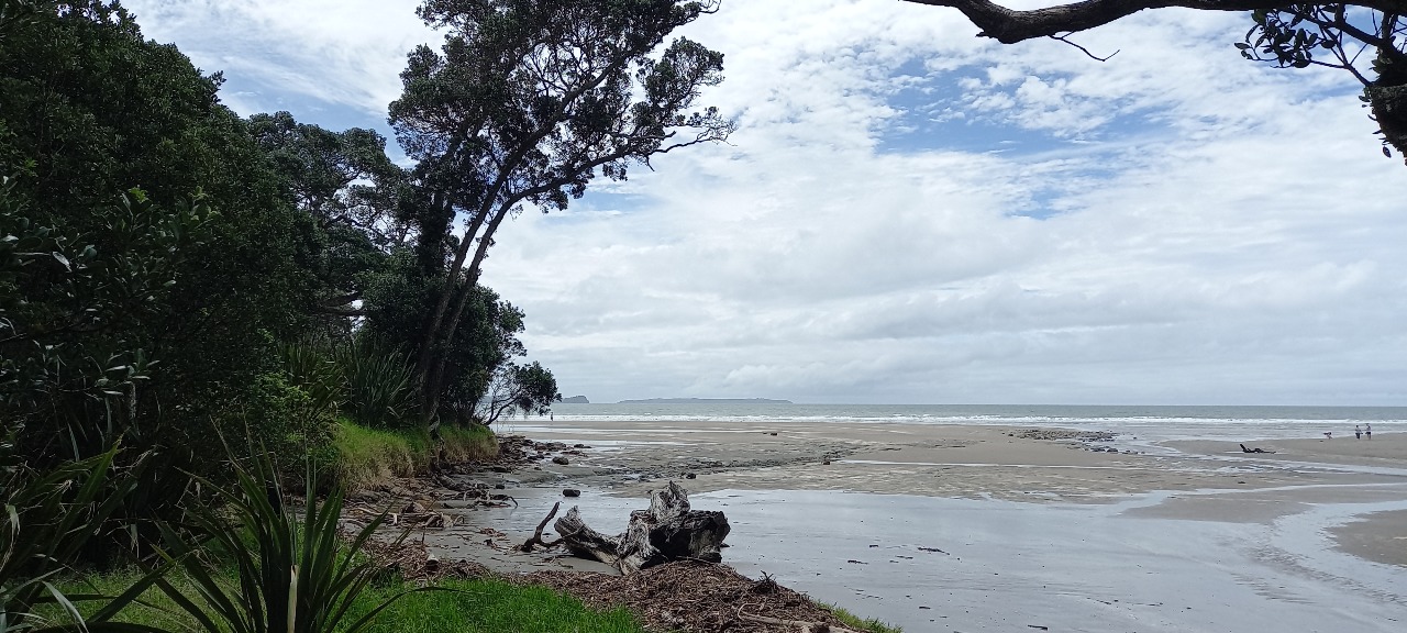 A special place where the sea and land meet creating an ideal location for human settlement

